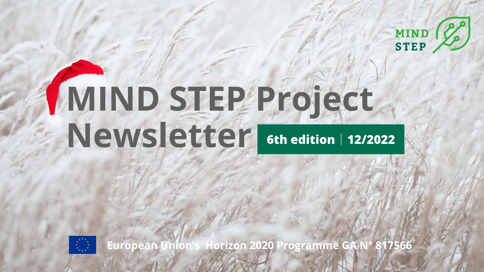 6th issue of the MIND-STEP Project Newsletter