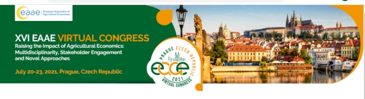 MIND STEP organises Agrimodels cluster session at the 16th EAAE Congress, 22 July 2021